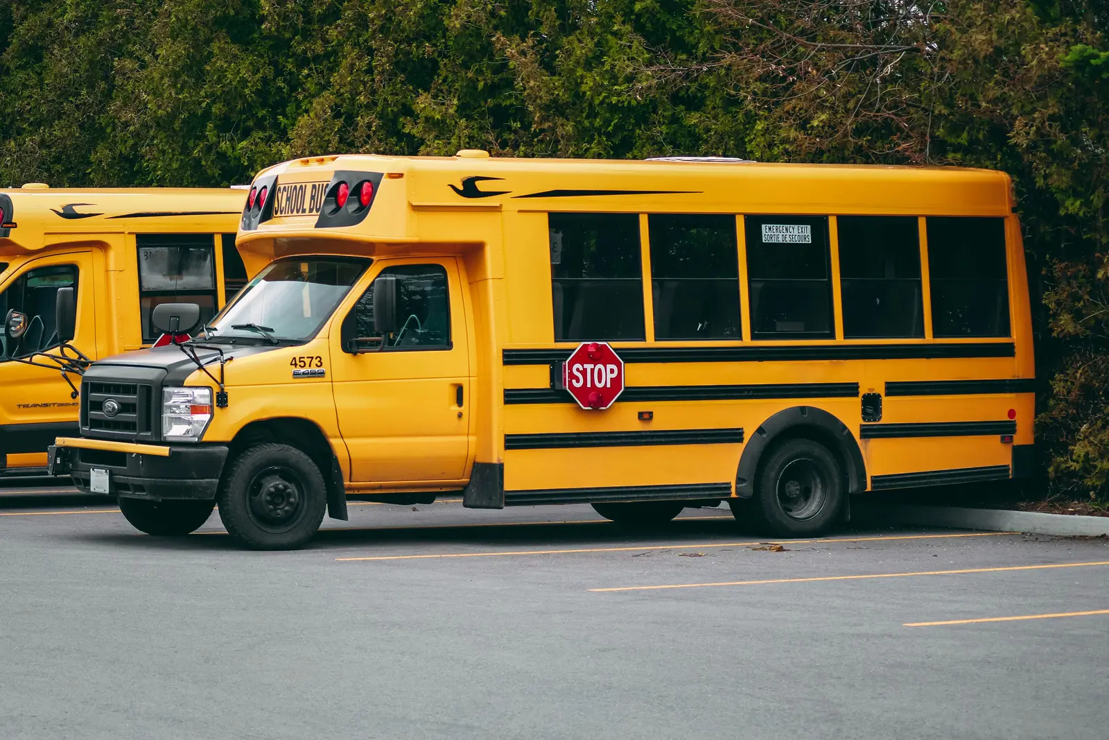 Yellow school buses parked in a row